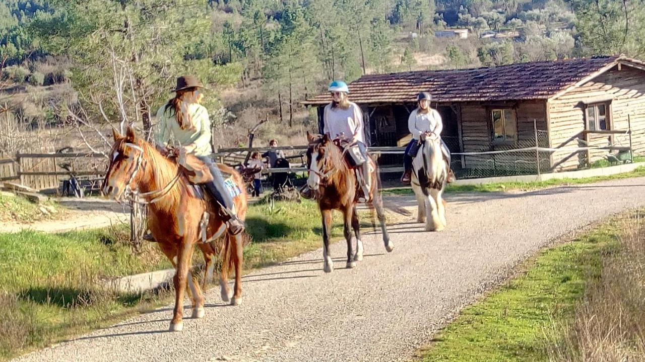 Вилла Refugio Do Raposo/Casa Altair Montes da Senhora Экстерьер фото